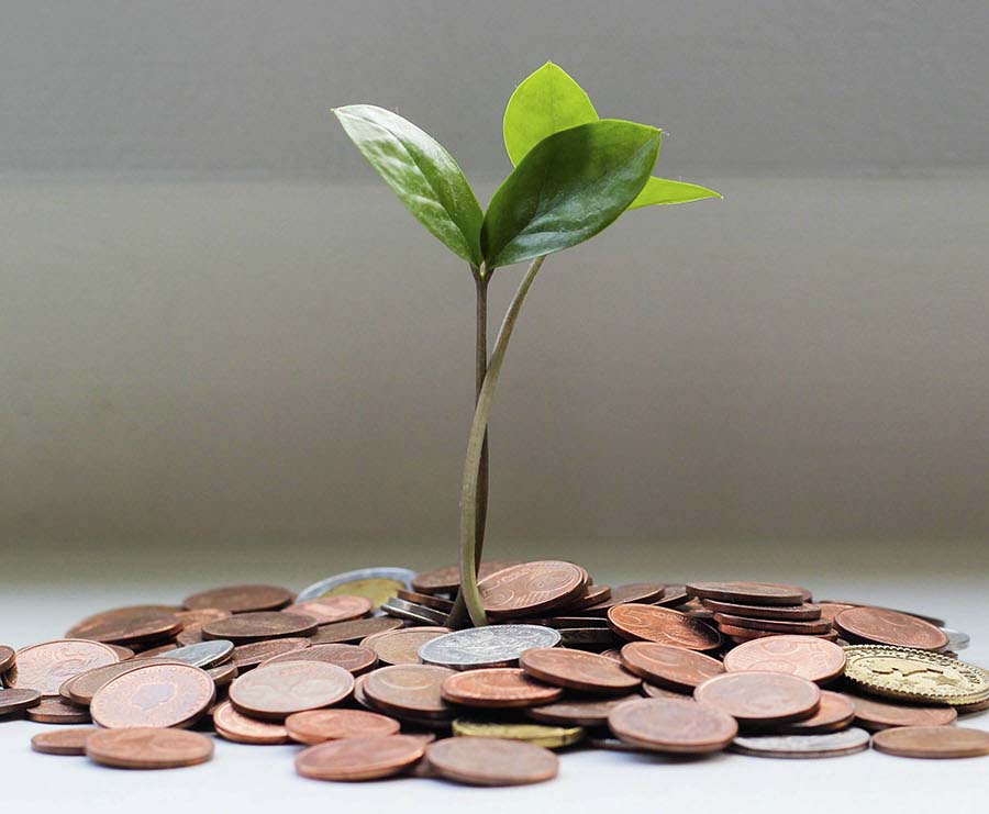 a pile of coins sprouting a seedling